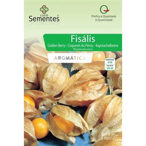 Fisális - Luso Sementes