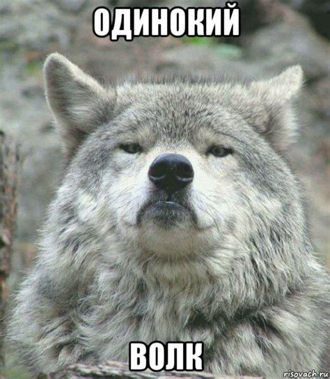 одинокий волк, Мем Гордый волк - Рисовач .Ру