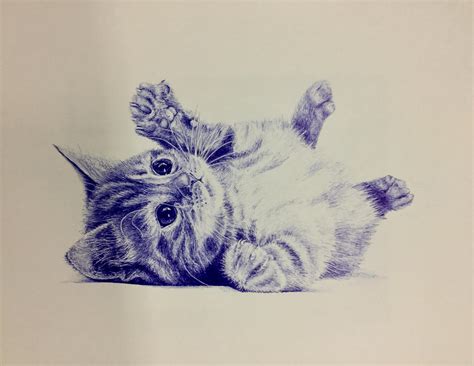 pen drawing cat 2
