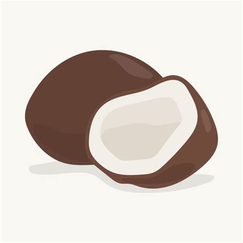 Нарисованная рукой красочная иллюстрация кокоса eps | UIDownload