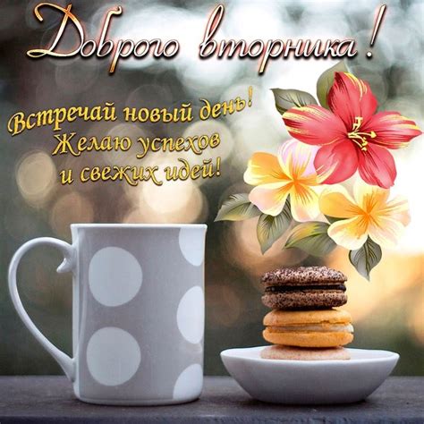 Доброе утро вторник - красивые картинки