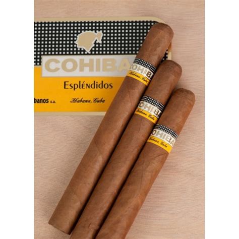 Cohiba Esplendidos - 25 cigars - Cuban cigars