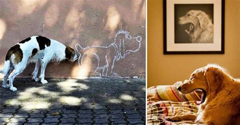 26 Perfectly Timed Dog Pictures That Will Leave You Laughing | Born Realist