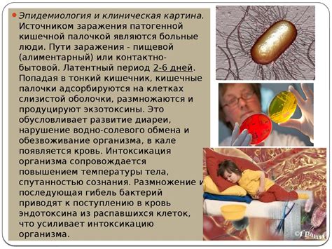 Кишечные инфекции - презентация онлайн