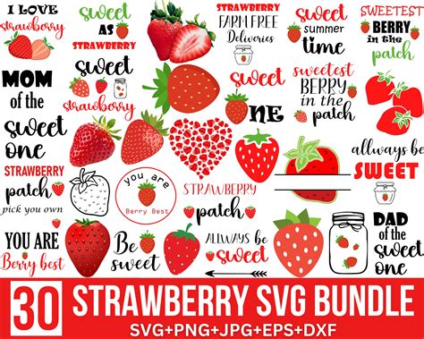 Strawberry Svg Bundle Strawberry Svg Berry Svg Strawberry - Etsy Canada