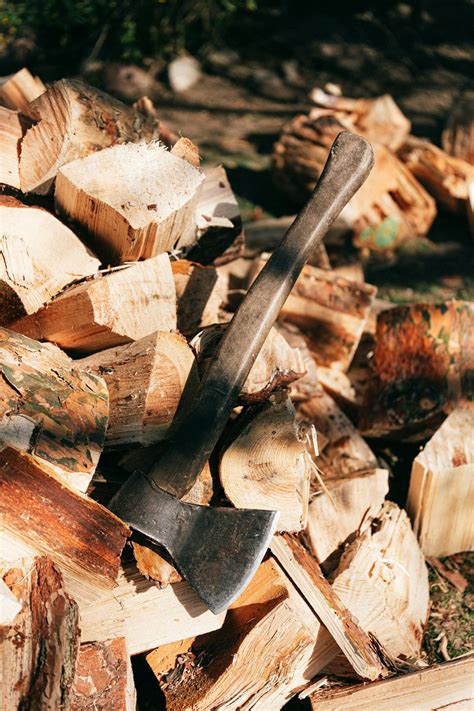 axe   woods  forest  stock photo