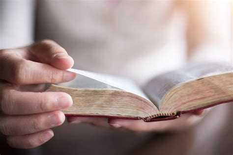 How Reading the Bible Can Change Your Outlook on Life in 2023 - Pope