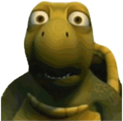 turtle huh meme sticker turtle huh meme temukan bagikan gif