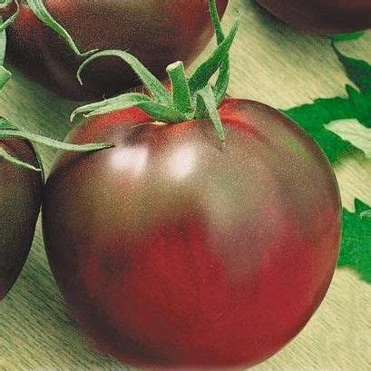 Томат Цыган Томат Цыган