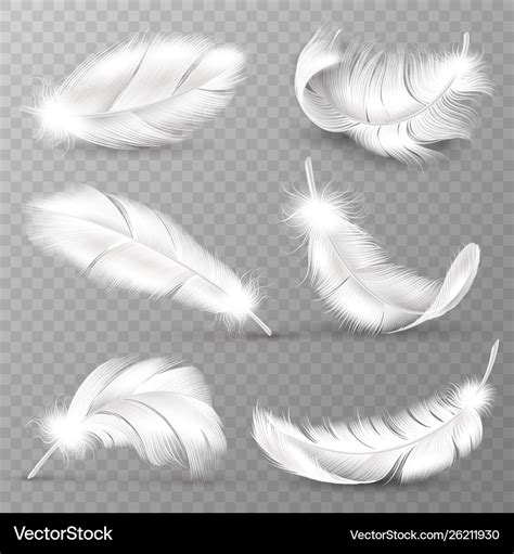 Realistic white feathers birds plumage falling Vector Image