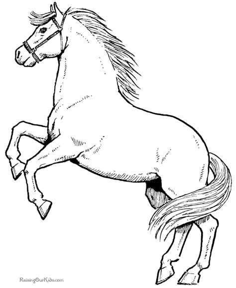 Drawings Horse (Animals) – Printable coloring pages