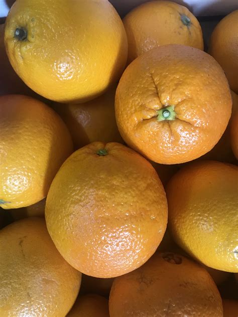 orange large fresh  fruity