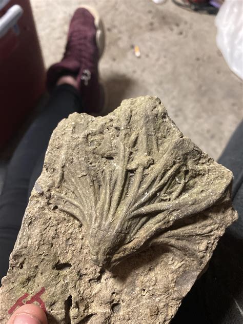 350 best Paul MN images on Pholder | Amateur Room Porn, Minnesota and Vegan