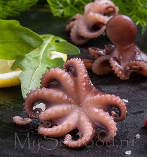 МИНИ ОСЬМИНОГИ купить