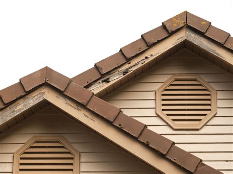 Cost To Have Home Treated For Termites - Homemade Ftempo