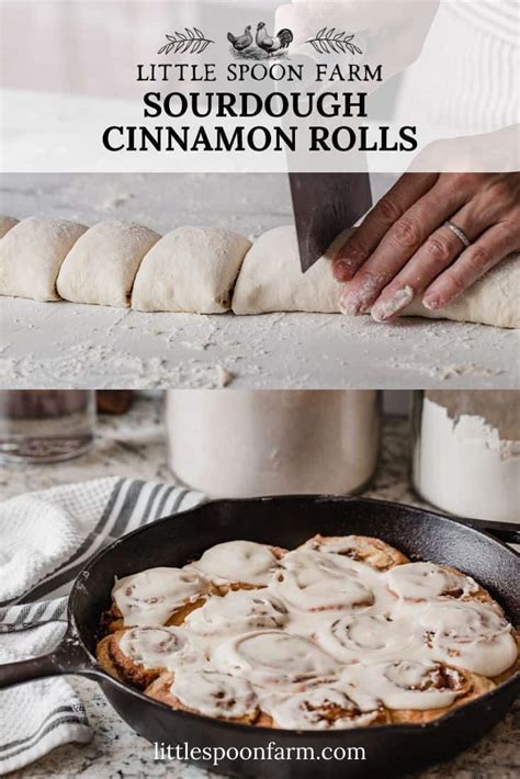 Sourdough Cinnamon Rolls - Easy Overnight - Little Spoon Farm