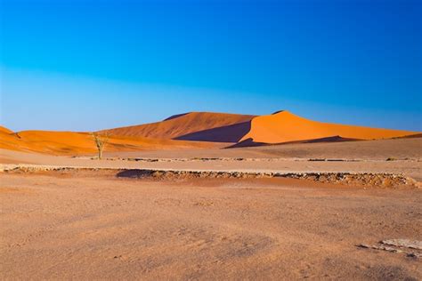 Premium Photo | Sand dunes in the namib desert at dawn, roadtrip in the ...