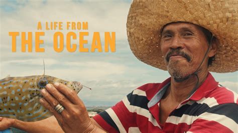 LIFE FROM THE OCEAN - Pocket Cinema Camera 4K - YouTube