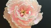 Beautiful sugar peony easy tutorial.No tools needed. Сахарный пион без ...