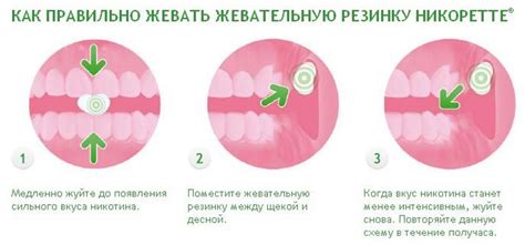 Жевательная резинка Никоретте: инструкция