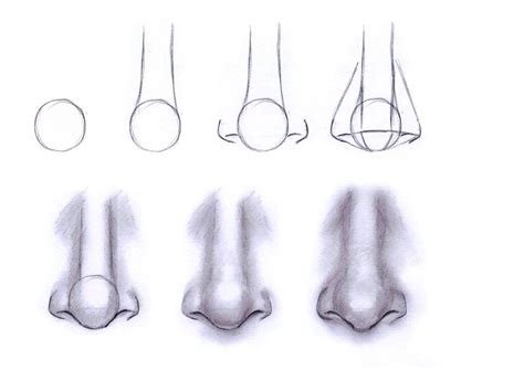 Noses! | Cómo dibujar una nariz, Dibujos de ojos, Cómo dibujar