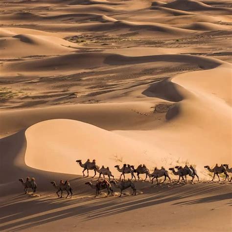 Өмнөговь аймаг Umnugovi aimag | Umne-Gobi