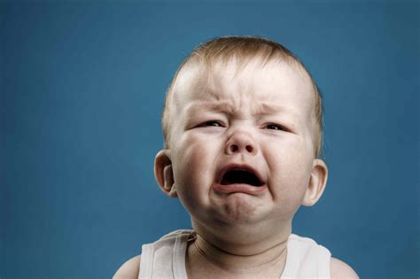 Babies feel pain - BabyScience