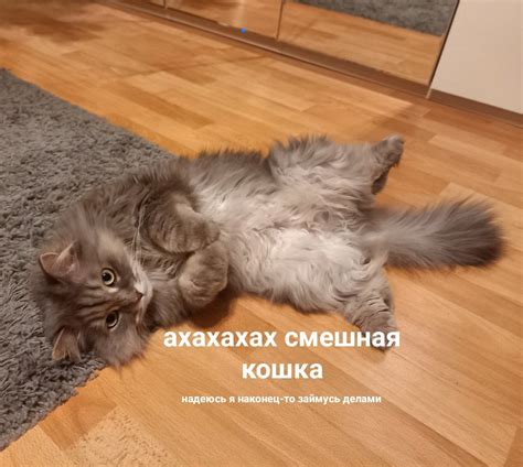 Веские причины не быть всеросником | ВКонтакте