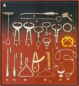 Veterinary Surgical Instruments at Best Price in Sialkot, Punjab | Ufn Intl