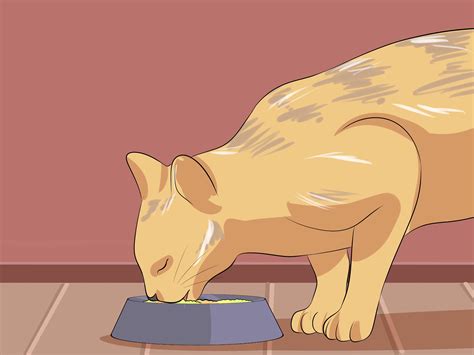 How To Tell If Cat Is Spayed Sims 4 at Judith Tomlin blog