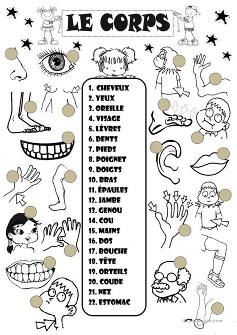 Le corps | Enfants français, Fle et Apprentissage de la langue française