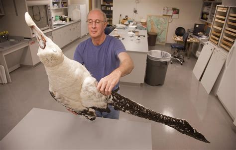 New KU natural history labs ready for research after $3.5 million
