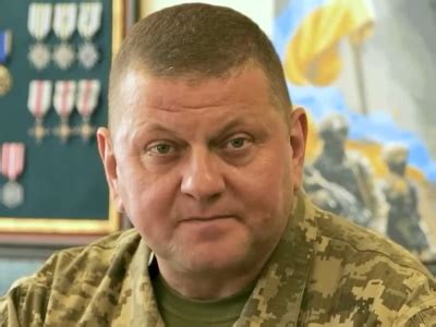 Залужный Валерий Фёдорович — информация, должности, рейтинг Залужного ...