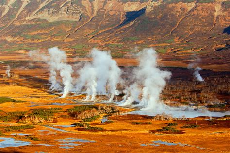 Знакомьтесь, медведь гризли | ФОТО НОВОСТИ