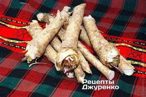 Хрен домашний