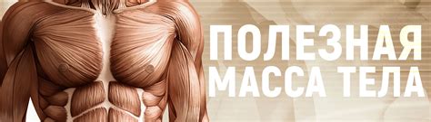 Полезная масса тела