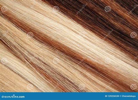 Costas Do Cabelo Diferente Da Cor Como O Fundo Foto de Stock - Imagem ...