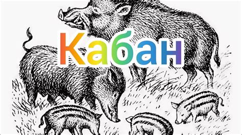 Краткий пересказ рассказа Кабан. Аудиокнига. - YouTube