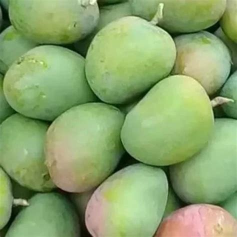 devgad alphonso hapus mango  dozen ratnagiri id