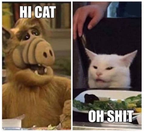 Alf loves cats - Meme Guy