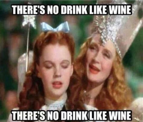 20 funny memes you need to see if you love wine | Friday humor, Funny ...