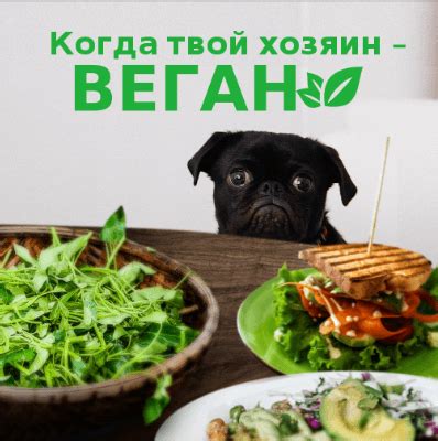 50 видов контента, которые должен хоть раз в жизни запостить настоящий ...