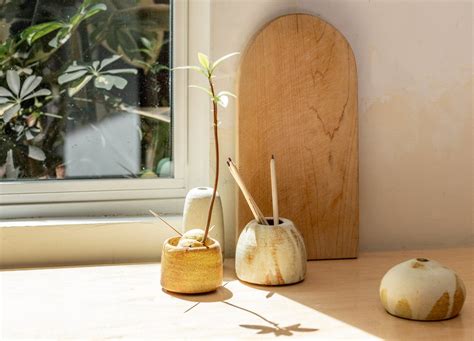 Avocado Plant Propagation (from a pit) - Paper and Stitch