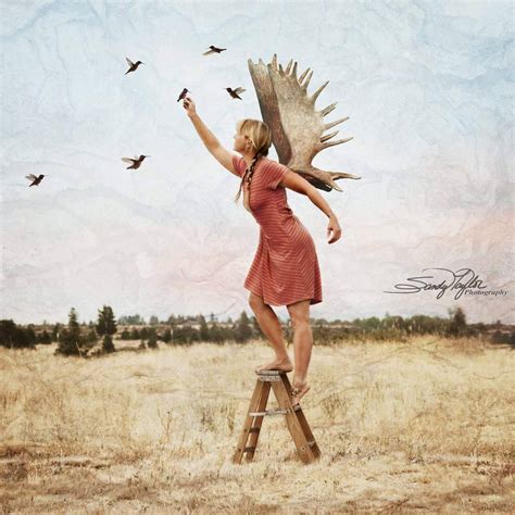 Sandy Taylor Photography