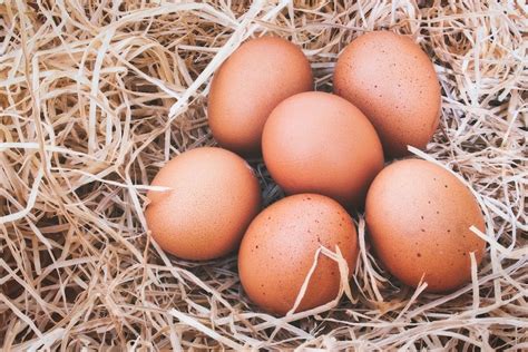 beechwood large  range eggs cook butcher