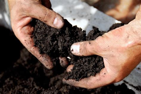 Понимать, какая почва на участке, очень важно | Organic fertilizer ...