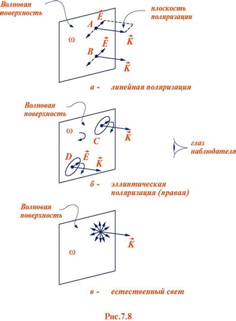 Естественный и поляризованный свет