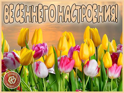 Желаю весеннего настроения! — Бесплатные открытки и анимация