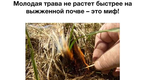Не жги сухую траву - YouTube