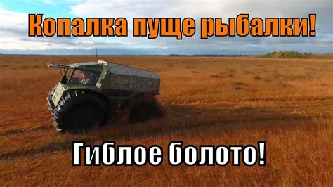 Болото Оршинский мох, на вездеходе Шерп, коп, рыбалка. ч1 - YouTube